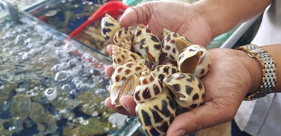 Ảnh: Sài Gòn giải phóng