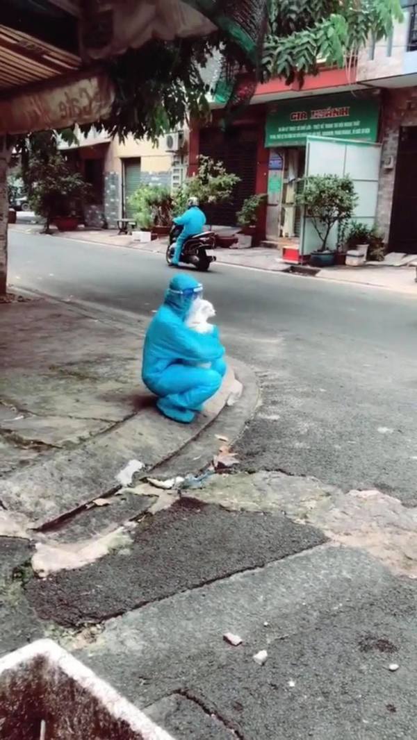 Ảnh: chụp màn hình Ảnh: chụp màn hình