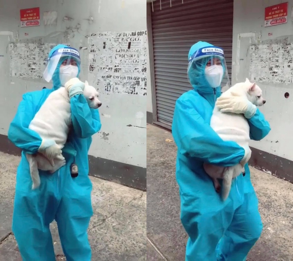 ‘Dở khóc dở cười’ nữ TNV đi test Covid, ‘lãi’ thêm 1 chú chó đem về 1 ‘Dở khóc dở cười’ nữ TNV đi test Covid, ‘lãi’ thêm 1 chú chó đem về 1