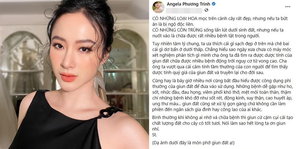Angela Phương Trinh khoe ăn ‘phở giun đất’ chống Covid-19 hậu bị VTV ‘cảnh báo’ 1 Angela Phương Trinh khoe ăn ‘phở giun đất’ chống Covid-19 hậu bị VTV ‘cảnh báo’ 1