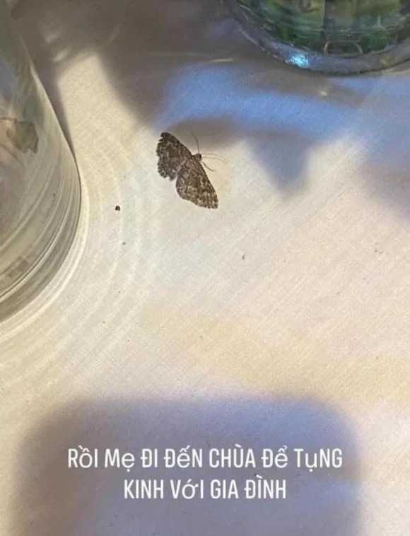 Showbiz 24h: Chuyện tâm linh khó tin trong lễ cúng Phi Nhung; Đức Huy rước 'em yêu' mới ngay khi chia tay Cẩm Đan - Ảnh 2