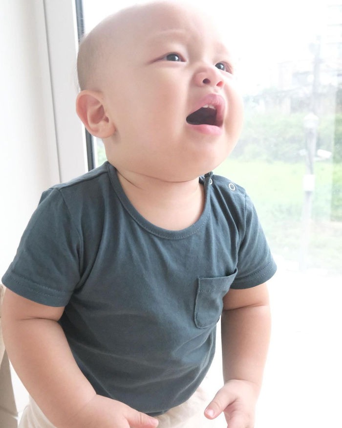 Con trai Hồ Ngọc Hà gần 1 tuổi đã biết giả tiếng cún khiến CĐM ‘dở khóc dở cười’ 2 Con trai Hồ Ngọc Hà gần 1 tuổi đã biết giả tiếng cún khiến CĐM ‘dở khóc dở cười’ 2
