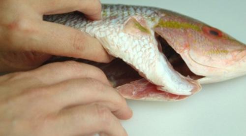 5 bộ phận của cá siêu hôi tanh phải sơ chế kĩ nếu không muốn ‘mất bữa cơm ngon’ 1