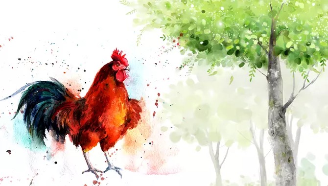 Ảnh minh họa Ảnh minh họa