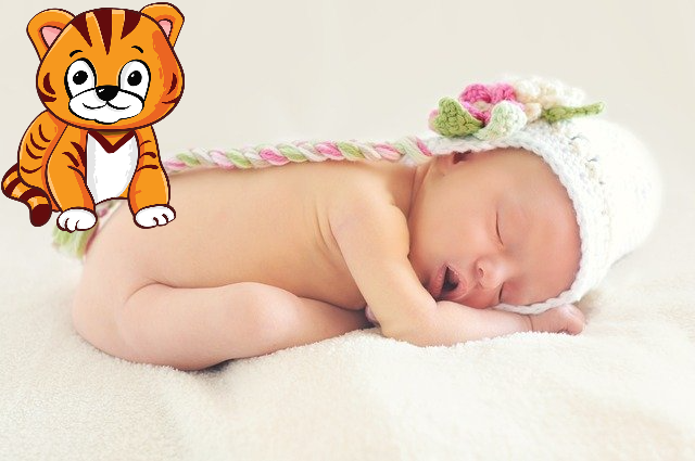 Ảnh minh họa Ảnh minh họa