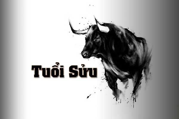 Ảnh minh họa Ảnh minh họa