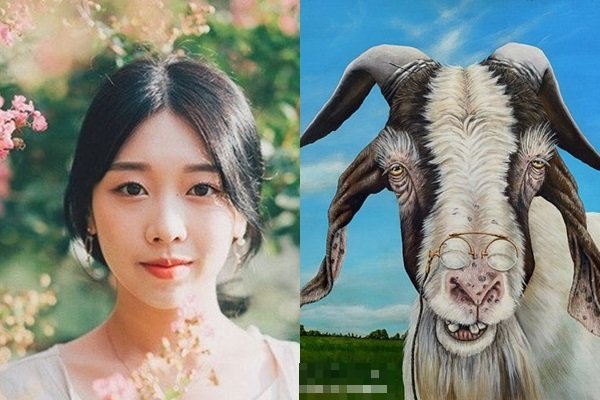 Ảnh minh họa Ảnh minh họa