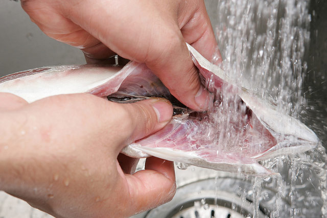 Cách sơ chế cá chính xác chuẩn nhà hàng, không mất chất, lại đảm bảo khử mùi tanh - Tin mới Ẩm thực