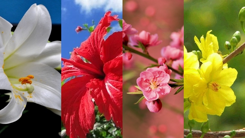 4 loại hoa Cúng Rằm cầu tài lộc, 1 thứ xui xẻo tránh bỏ lên bàn thờ của năm 2022 2