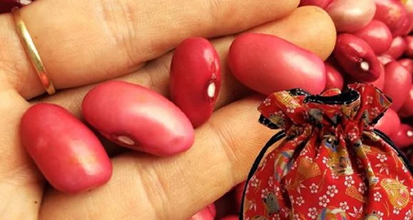Ảnh minh họa Ảnh minh họa