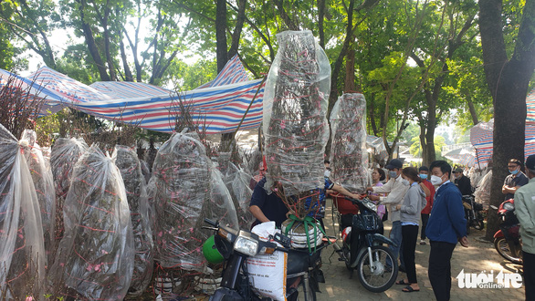 Ảnh: Tuổi trẻ Ảnh: Tuổi trẻ