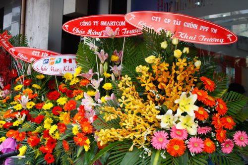 Ảnh minh họa Ảnh minh họa