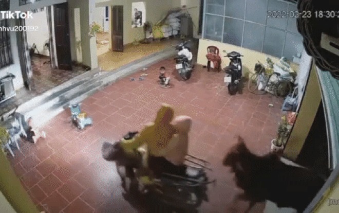 Ảnh: Chụp màn hình