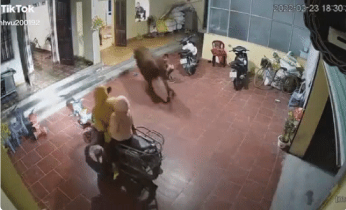 Ảnh: Chụp màn hình