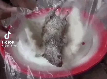 Ảnh: Chụp màn hình Ảnh: Chụp màn hình