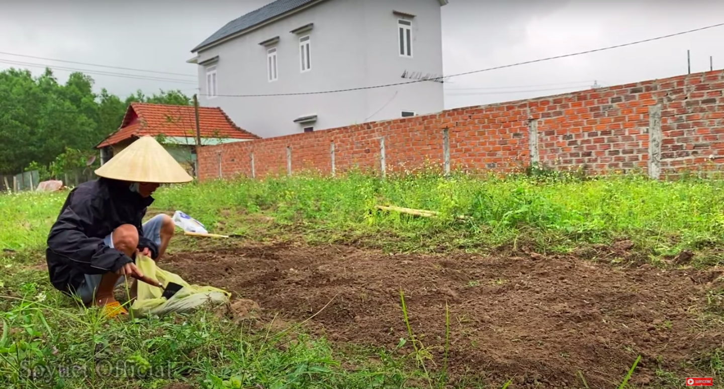 Ảnh: FB Sô Y Tiết