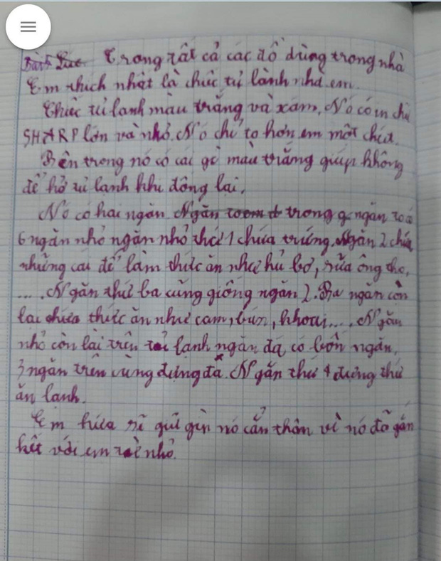 Bài văn của cậu bé tiểu học