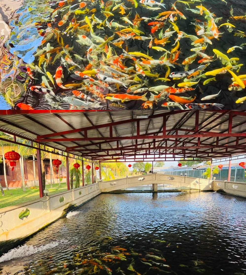 Với những hình ảnh được hé lộ như vậy thì nhiều người cho rằng căn biệt thự trị giá 200 tỷ không có gì là ngỡ ngàng. Ảnh: CafeF