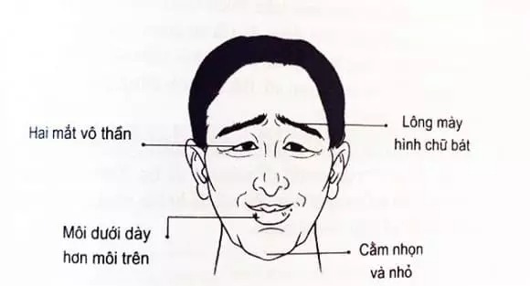 Căn cứ vào khuôn mặt. Ảnh minh họa Căn cứ vào khuôn mặt. Ảnh minh họa