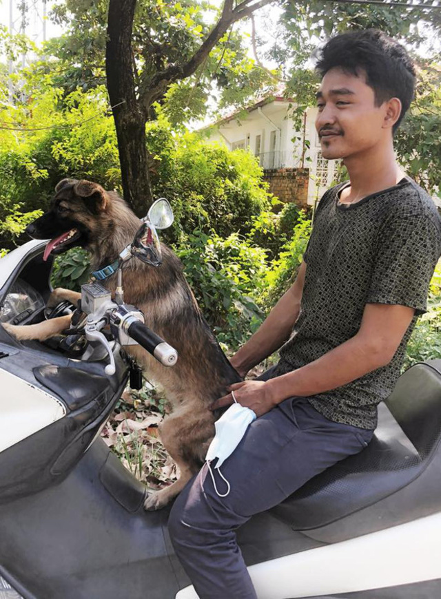 Thấy bản thân trên tờ rơi, chú chó đi lạc liền ngồi ngay bên cạnh ‘chầu chực’ chủ đến đón - Ảnh 3 Thấy bản thân trên tờ rơi, chú chó đi lạc liền ngồi ngay bên cạnh ‘chầu chực’ chủ đến đón - Ảnh 3