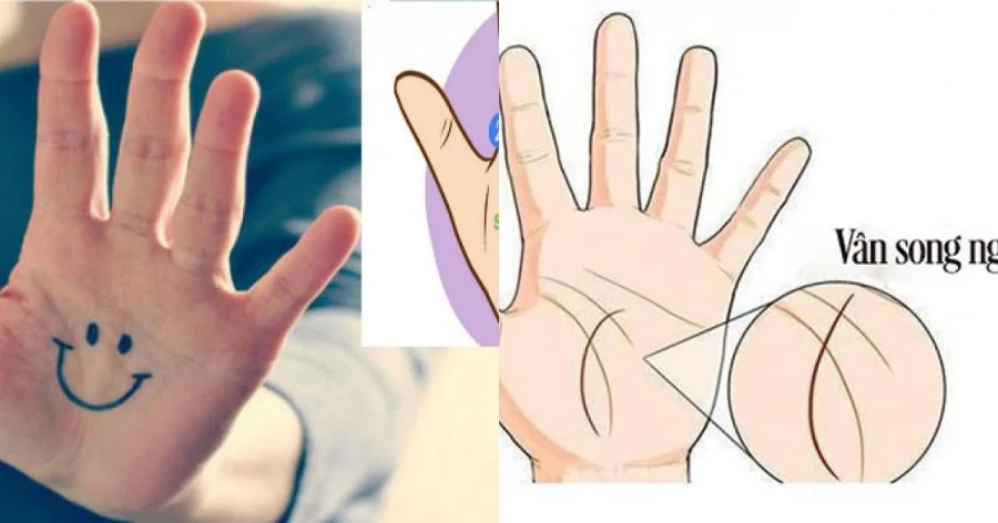 4 đường chỉ tay rất hiếm, chỉ người xuất chúng mới có đường chỉ tay này - Ảnh 1 4 đường chỉ tay rất hiếm, chỉ người xuất chúng mới có đường chỉ tay này - Ảnh 1