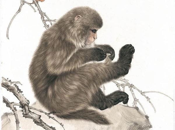 3 con giáp vào 2 tuần cuối tháng 4 bỗng bùng nổ về tài lộc - Ảnh 2 3 con giáp vào 2 tuần cuối tháng 4 bỗng bùng nổ về tài lộc - Ảnh 2