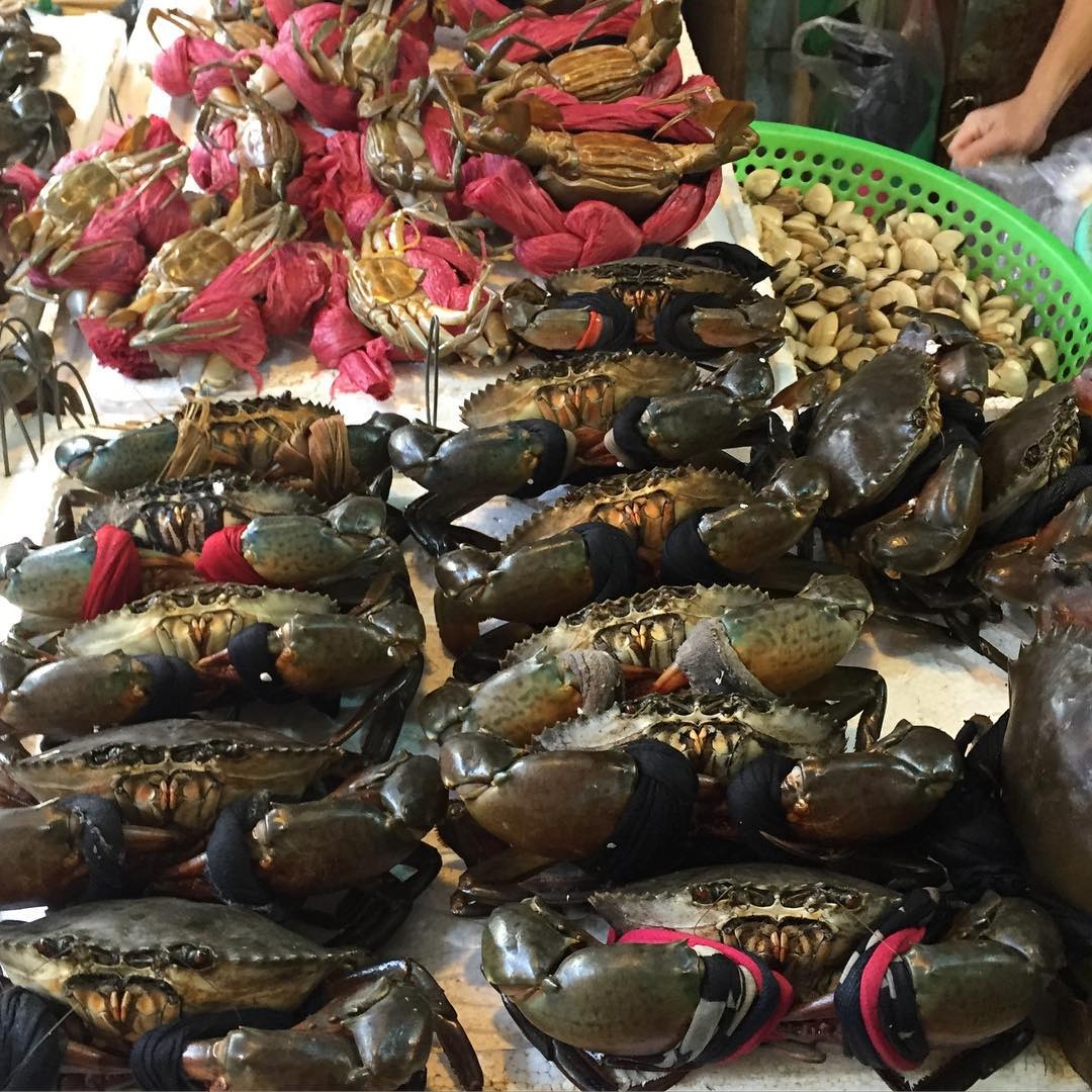 Món ngon Nha Trang: Đến Nha Trang ăn gì? 13 món đặc sản Nha Trang ngon ‘hết sảy’ - Ảnh 1