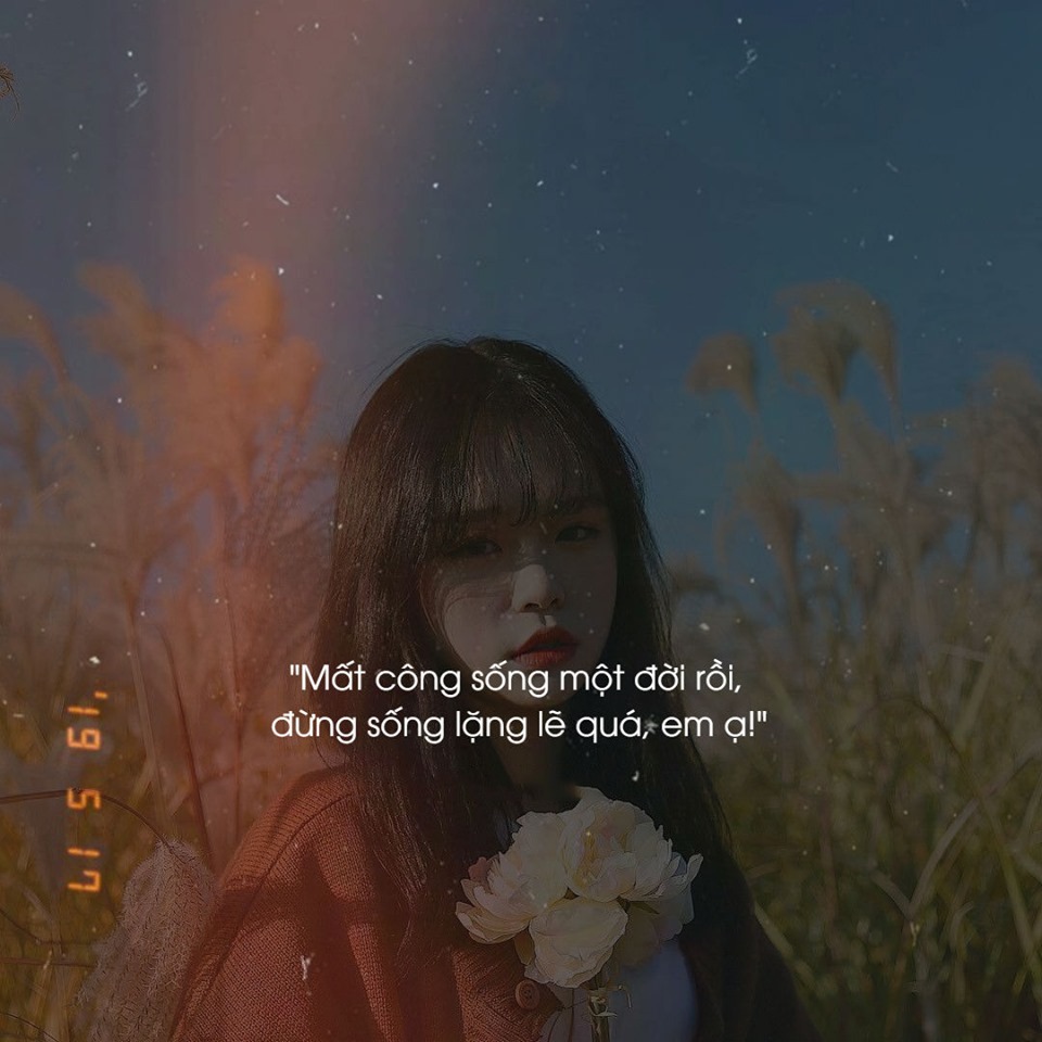 966+ Stt hay ngắn về mọi chủ đề: Stt tình yêu, Stt bản thân, Stt tâm trạng, Stt thả thính - Ảnh 1 966+ Stt hay ngắn về mọi chủ đề: Stt tình yêu, Stt bản thân, Stt tâm trạng, Stt thả thính - Ảnh 1