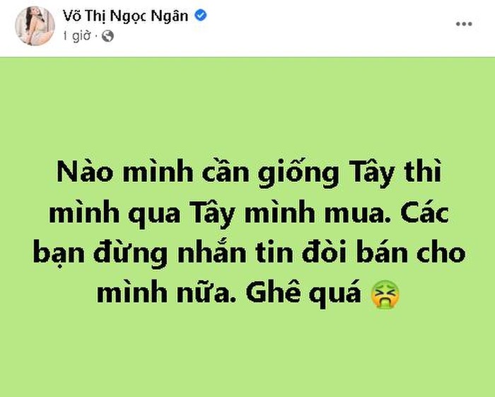 Ngân 98 tỏ ra bất lực trước sự quấy rối vì phát ngôn gây sốc