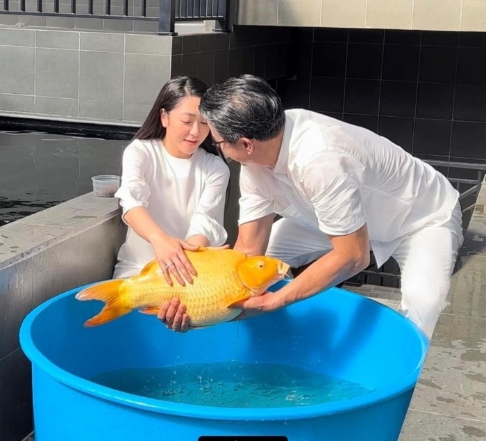 'Vua cá Koi' cùng vợ Hà Thanh Xuân. 'Vua cá Koi' cùng vợ Hà Thanh Xuân.