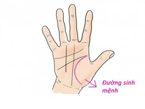 4 nét tướng của người yểu mệnh, dễ lao đao đủ thứ trong cuộc sống - Ảnh 1 4 nét tướng của người yểu mệnh, dễ lao đao đủ thứ trong cuộc sống - Ảnh 1