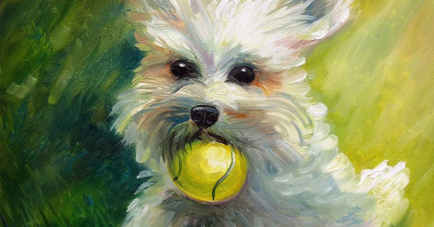 Tử vi tuần 23/5 - 29/5/2022 của 12 con giáp: 3 con giáp cẩn trọng kẻo ‘bùng nổ’ - Ảnh 2