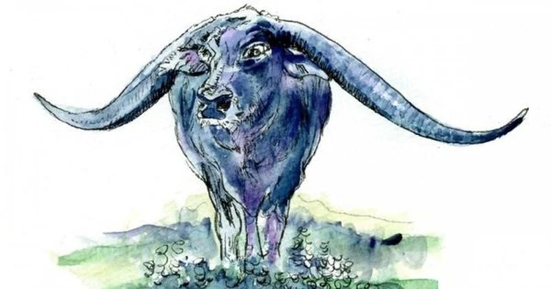 3 con giáp đen nhất tháng 6 dương: Đặc biệt phải lưu ý về mặt tiền bạc - Ảnh 2