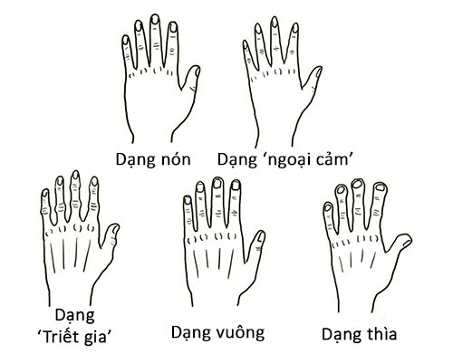 5 kiểu dáng tay có thể nhìn ra năng khiếu, tính cách: Người hướng ngoại hay hướng nội? - Ảnh 1 5 kiểu dáng tay có thể nhìn ra năng khiếu, tính cách: Người hướng ngoại hay hướng nội? - Ảnh 1