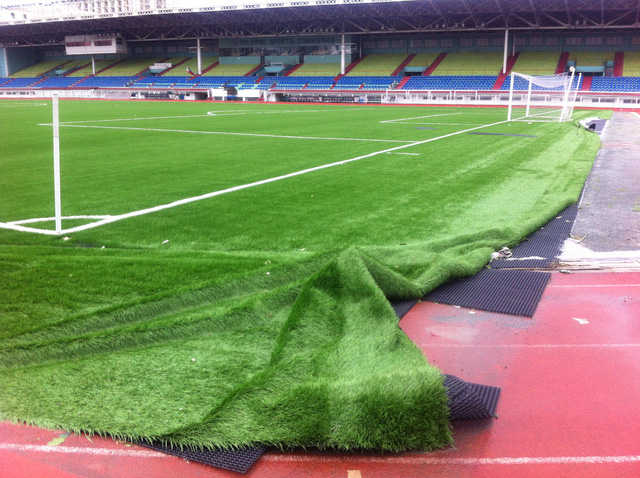 Sân cỏ nhân tạo Jalan Besar (Singapore). Ảnh: Internet