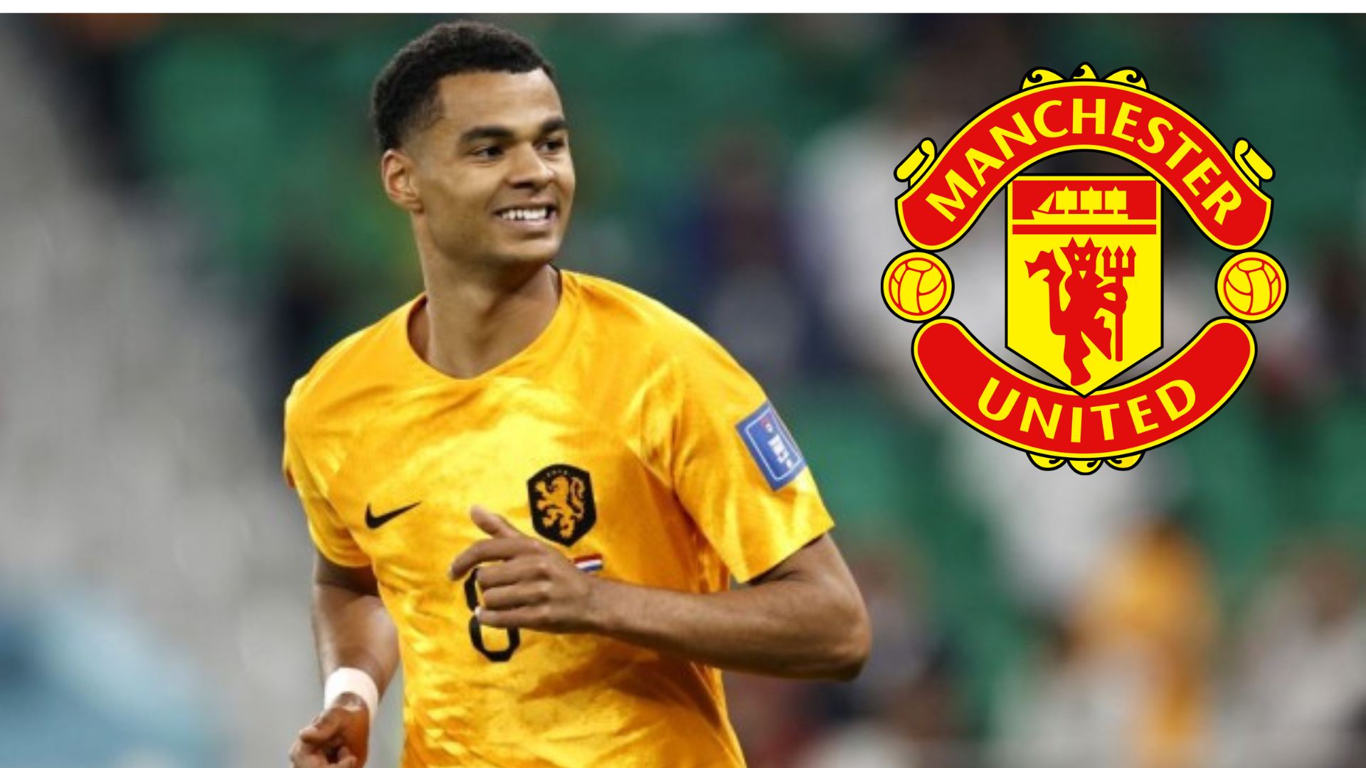 Man United nhắm Gakpo thay thế Ronaldo. Ảnh: Internet Man United nhắm Gakpo thay thế Ronaldo. Ảnh: Internet