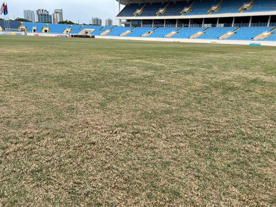 Mặt cỏ sân Mỹ Đình không được chăm sóc trong thời gian dài. Ảnh: Internet