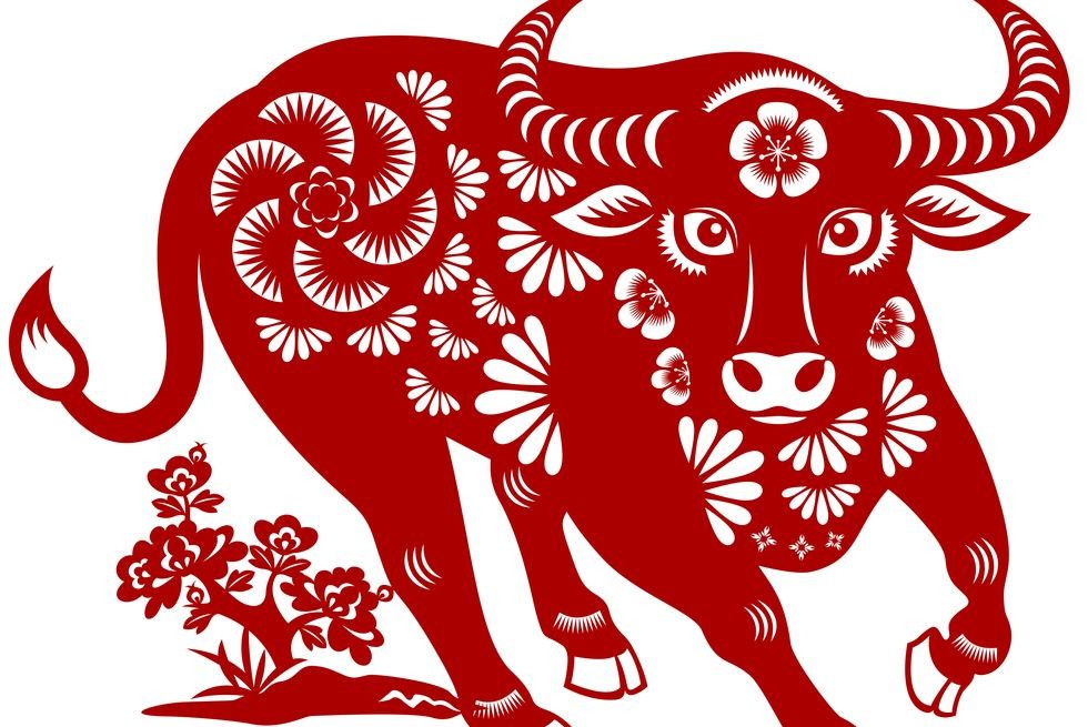 Tết Nguyên đán 2023: Tuổi Sửu xuất hành ngày nào, hướng nào để rước vận may cho cả năm? - Ảnh 1