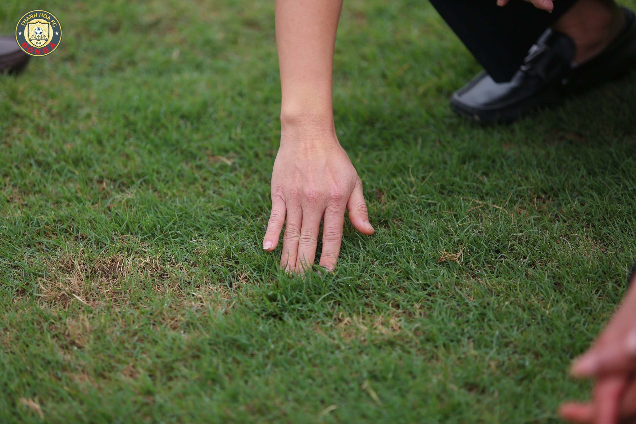 V-League 2023 tạm nghỉ, một đội bóng quyết định tu sửa lại mặt sân - Ảnh 2