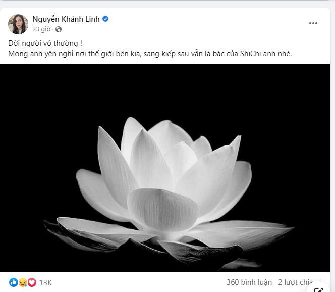 Vợ Bùi Tiến dũng bày tỏ sự tiếc thương trước sự ra đi của anh trai. Ảnh: Chụp màn hình Vợ Bùi Tiến dũng bày tỏ sự tiếc thương trước sự ra đi của anh trai. Ảnh: Chụp màn hình