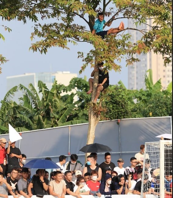 Hài hước: CĐV giải Tây Ban Nha trèo lên ngọn cây xem bóng đá như V-League 2 Hài hước: CĐV giải Tây Ban Nha trèo lên ngọn cây xem bóng đá như V-League 2