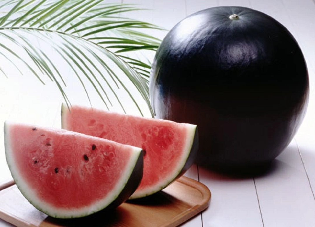 Dưa hấu vỏ đen cùi đỏ rất hút khách. Dưa hấu vỏ đen cùi đỏ rất hút khách.