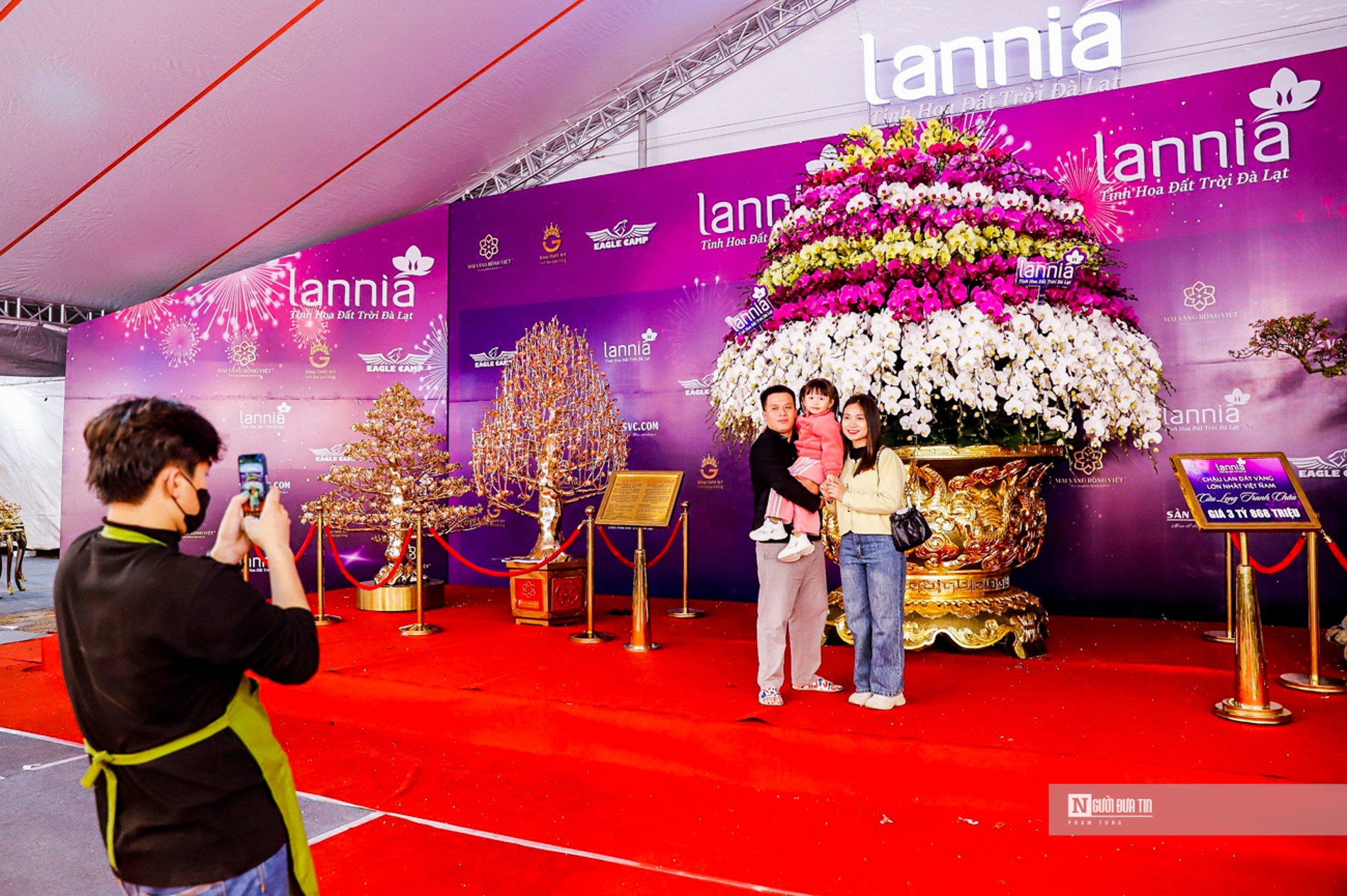 Chậu hoa hoàn thành vào ngày 16/01/2024 và mang ra trưng bày tại gian hàng bán hoa lan hồ điệp Đà Lạt tại Mỹ Đình. “Chậu hoa này đã được đăng kí xác lập Kỷ lục Việt Nam là chậu hoa lan hồ điệp lớn nhất và đắt nhất Việt Nam”, chủ nhân gian hàng chia sẻ.