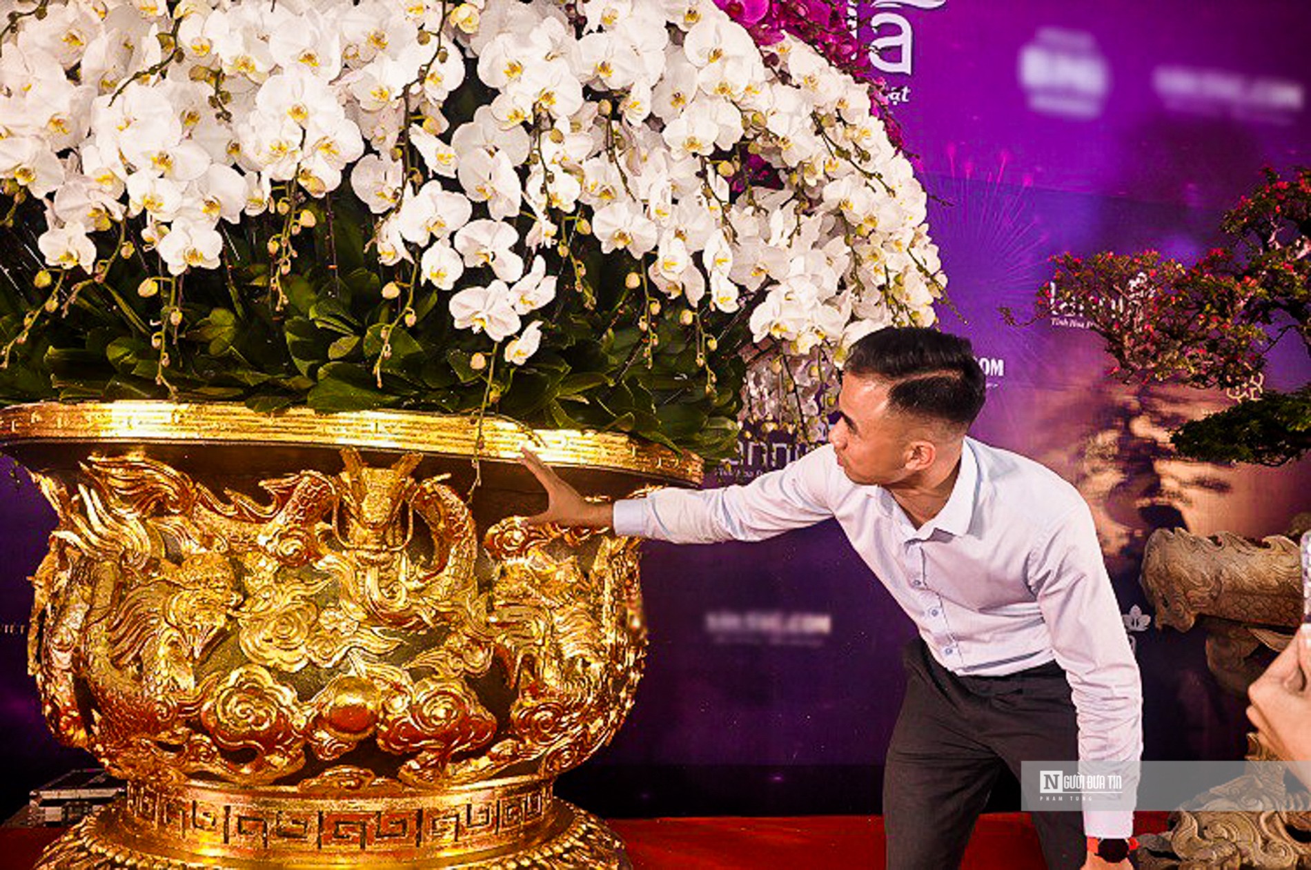 Sự kết hợp giữa 9 tầng hoa lan và chậu mạ vàng 24k hình rồng hứa hẹn tạo nên không gian sang trọng cho ngôi nhà của chủ nhân trong Tết Giáp Thìn 2024.