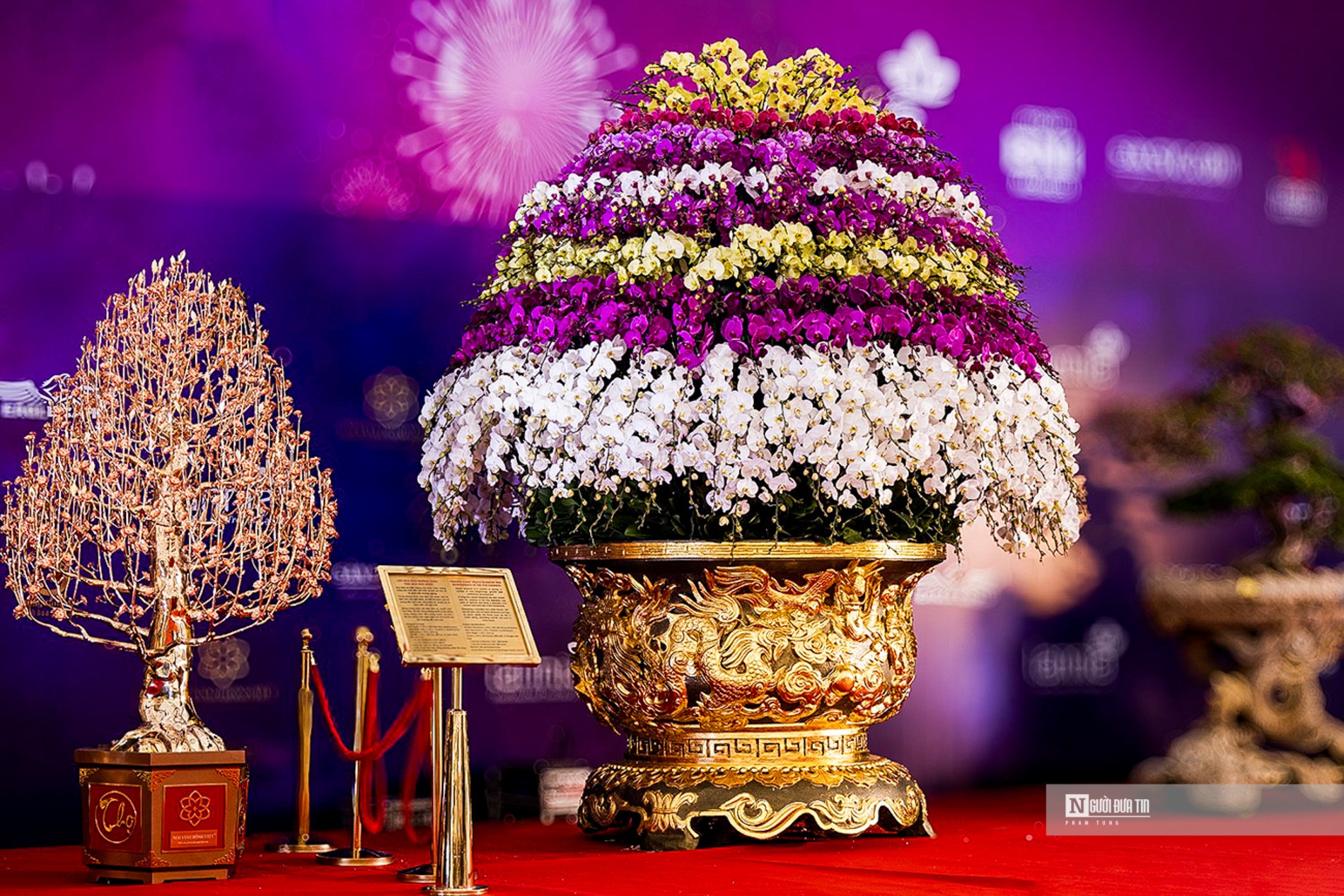 Chậu lan nặng hơn 1 tấn, được làm thủ công. Phần chậu được nghệ nhân người Thái Bình chế tác trong vòng 3 tháng.