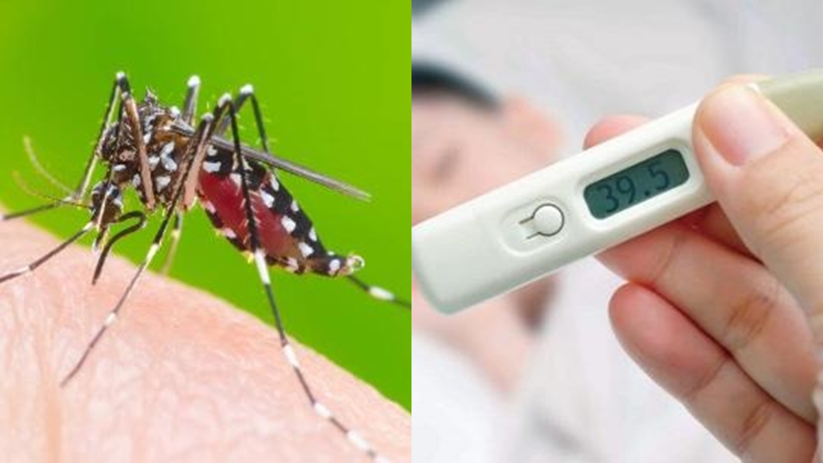 TP.HCM: Bệnh sốt xuất huyết có diễn biến ngày càng phức tạp - Ảnh 1