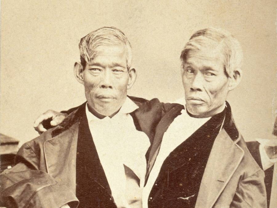 Bí ẩn 2 anh em song sinh dính liền lấy 2 chị em, sinh được 21 người con và có 1.500 hậu duệ - Ảnh 1