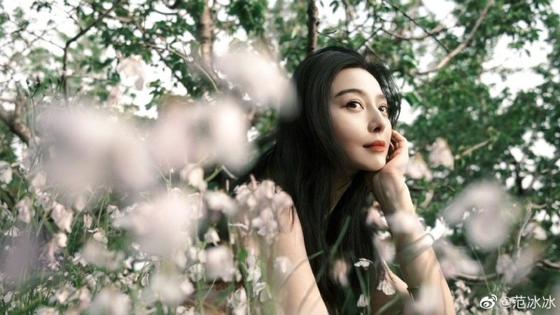 Phạm Băng Băng được ca ngợi trong sách giáo khoa, chuyện gì đây? - Ảnh 1