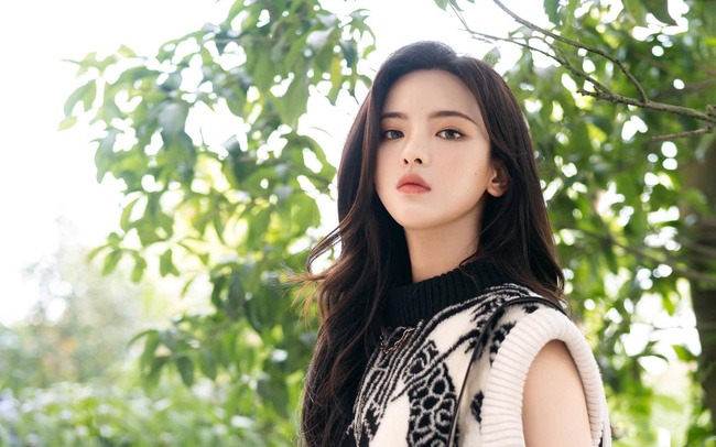 Dương Siêu Việt bị 'nghiệp quật' khi giáo huấn cư dân mạng - Ảnh 1