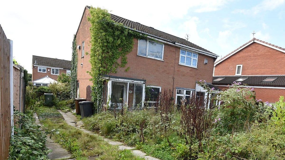 Chủ nhà bị phạt 35 triệu đồng vì để cỏ dại mọc um tùm trong vườn khiến hàng xóm khó chịu